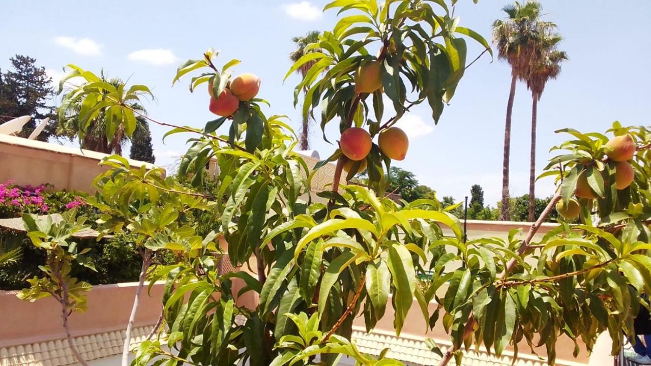 Riad Zouhour Hotel Marrakesh Exterior photo