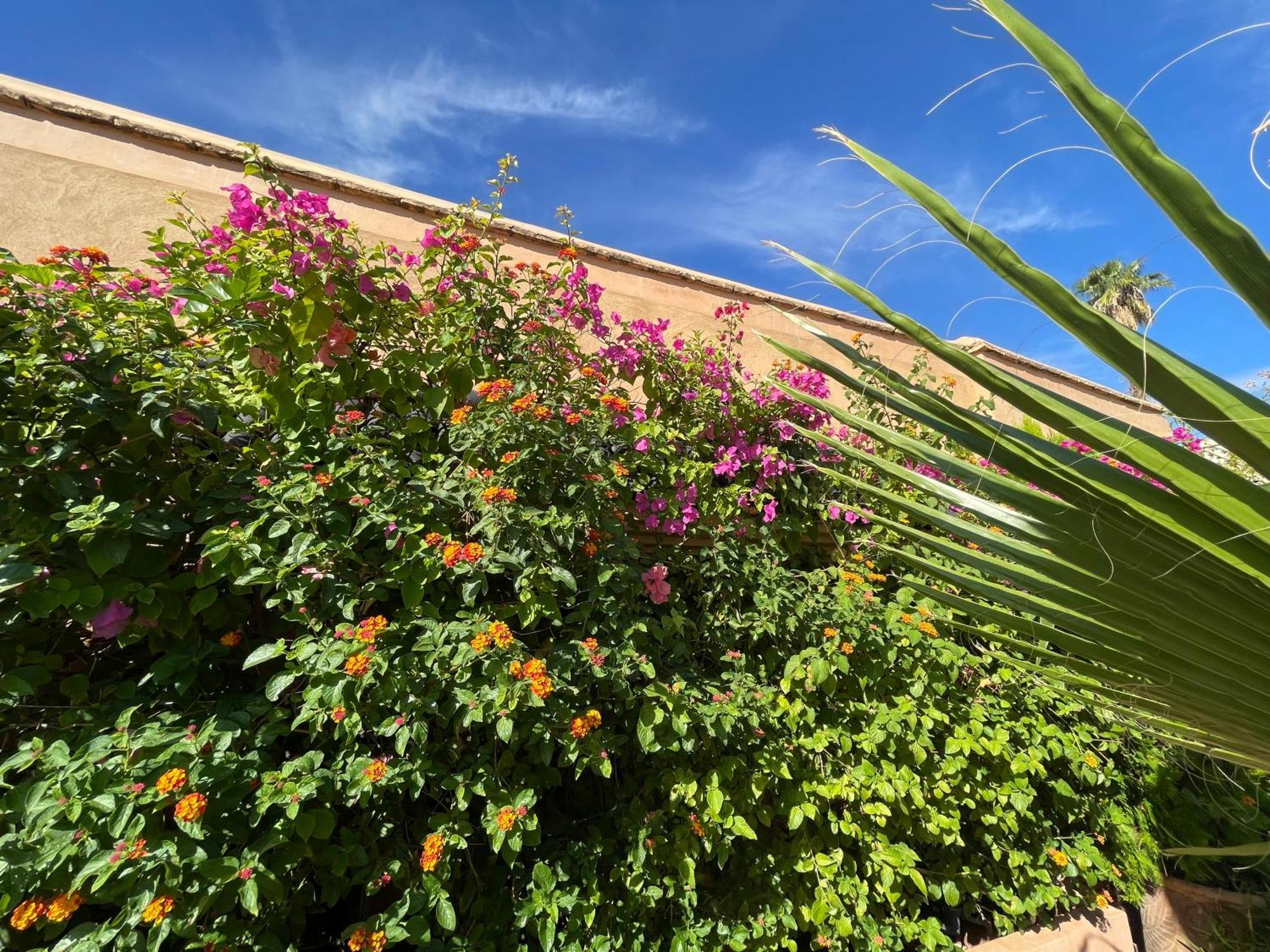 Riad Zouhour Hotel Marrakesh Exterior photo