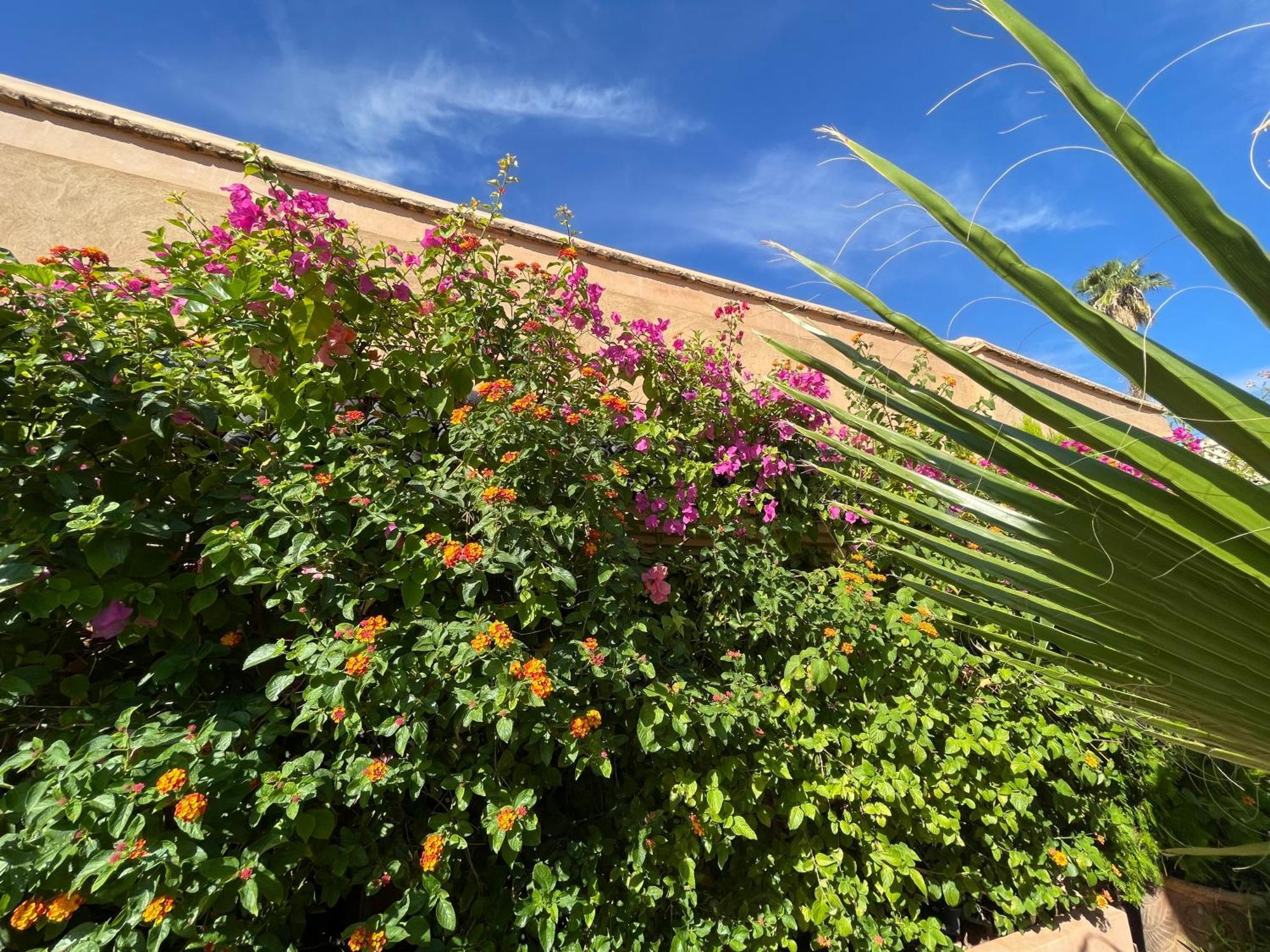 Riad Zouhour Marrakesh Exterior photo