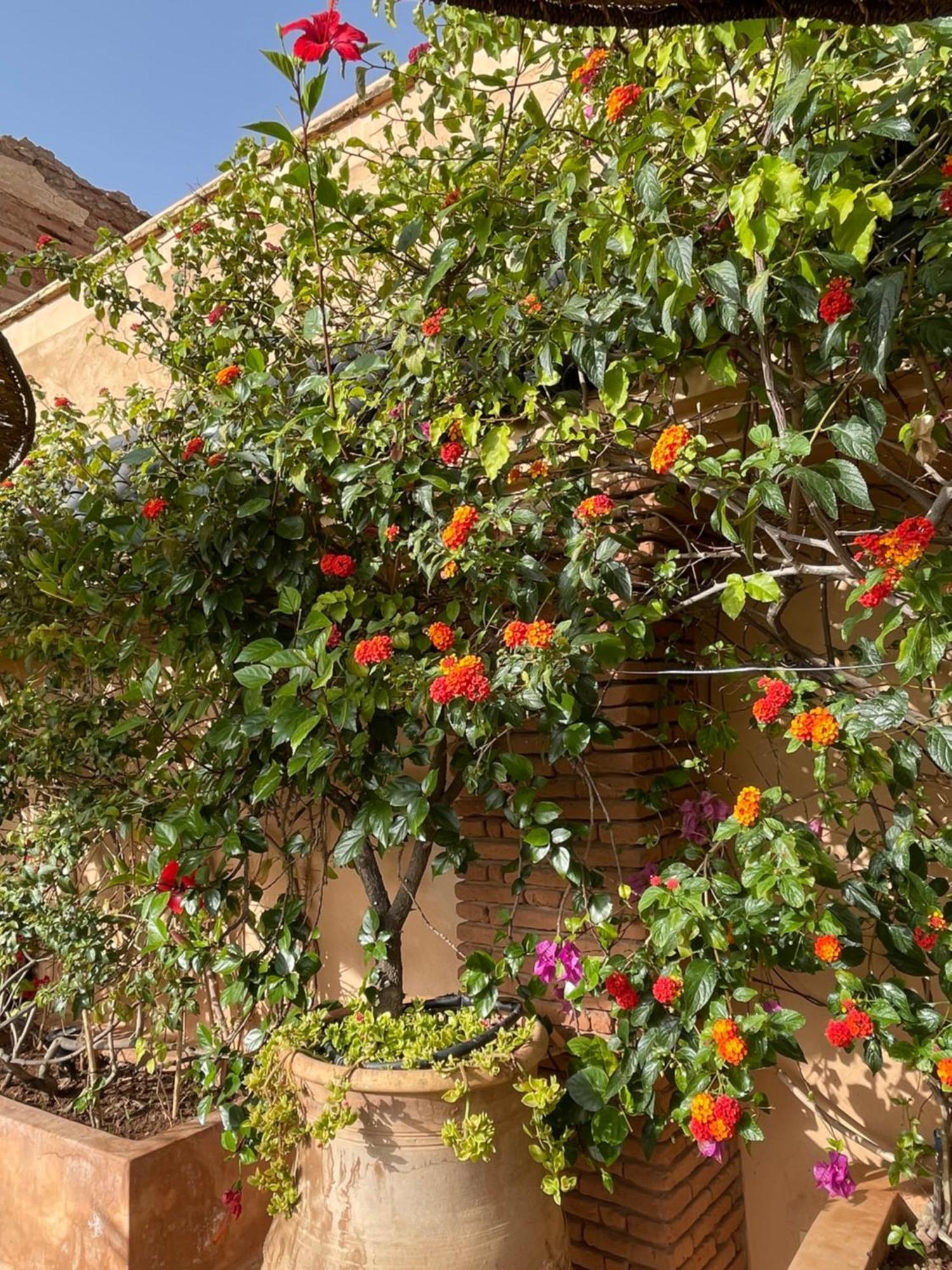 Riad Zouhour Hotel Marrakesh Exterior photo